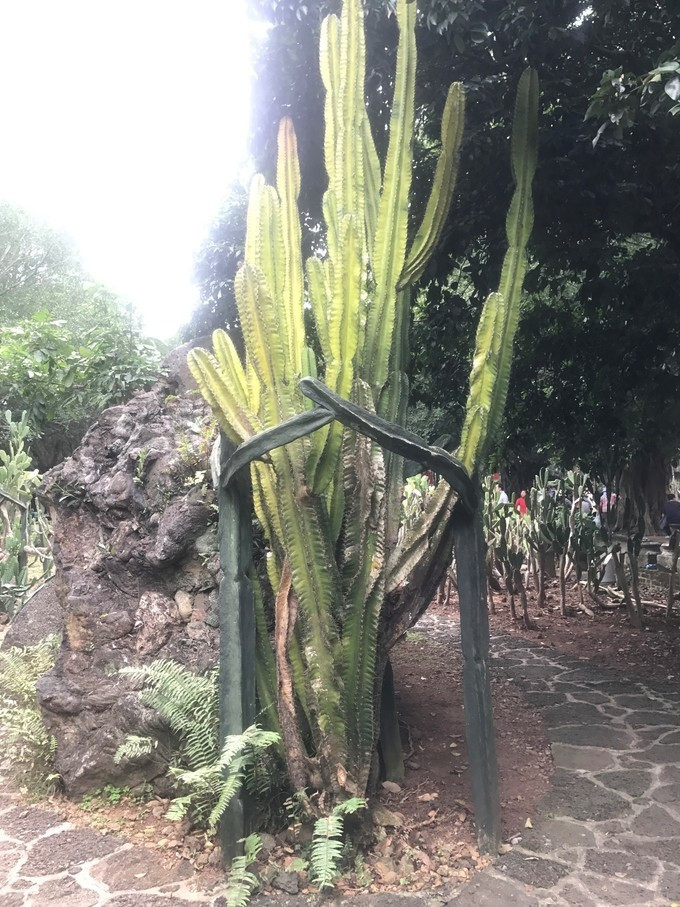 一家人海口旅游攻略,海口一家三口哪里好玩