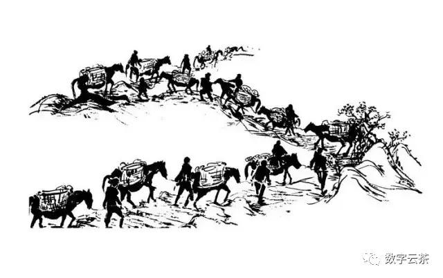 茶马古道寻找茶文化之旅,消失的茶马古道和茶文化