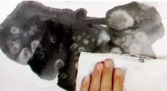 国画作品常识有哪些,国画创作的思路和方法