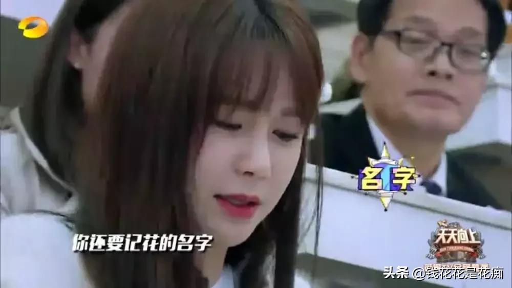 花卉市场购物,亚洲第一花卉交易市场排名