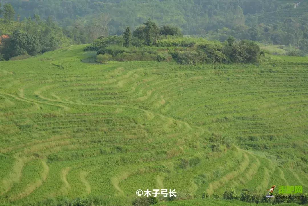 姊呭窞鍐棩鏅偣,涓栫晫闀垮涔嬮兘姊呭窞