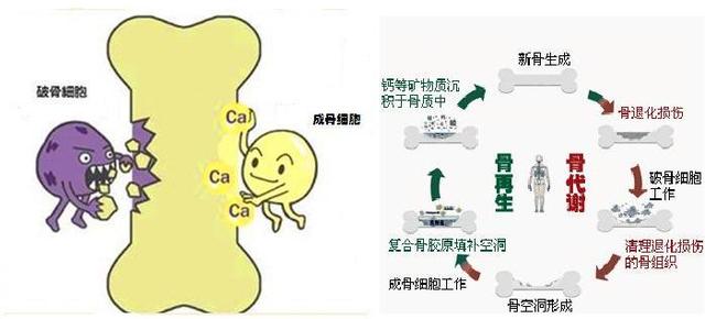 补钙每天需要补充多少维生素d,骨质疏松补钙还可以恢复吗