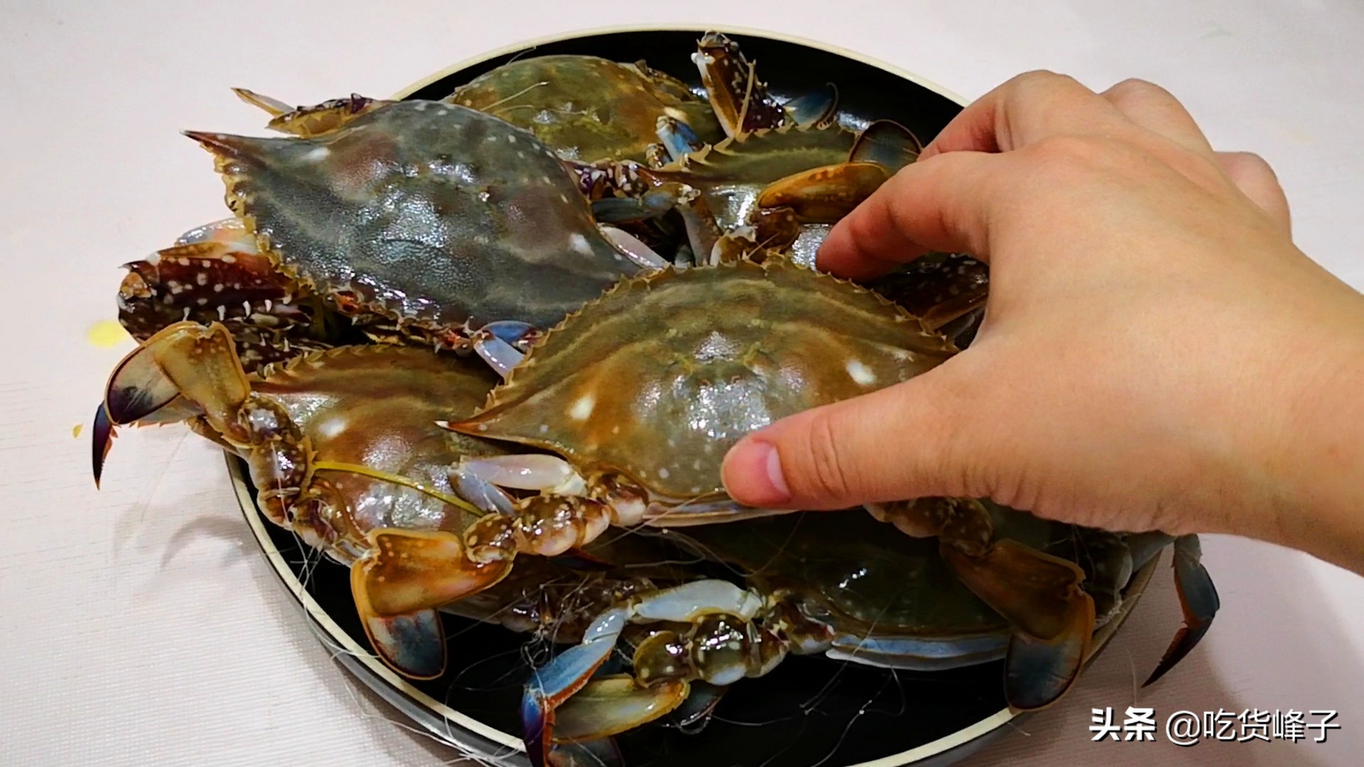 蒸螃蟹为什么会出汤,蒸螃蟹为啥倒着放水