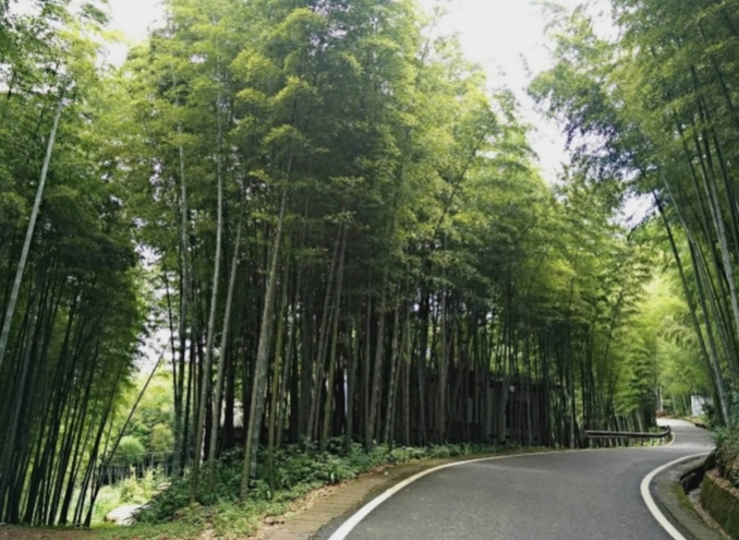 重庆市永川区茶山竹海派出所,重庆市永川区茶山竹海的海拔