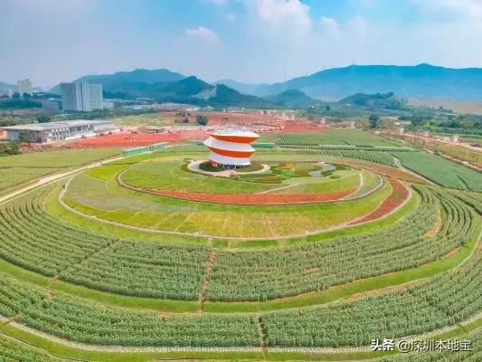 深圳免费的景点有哪些地方,深圳有哪些免费又好玩的地方景点