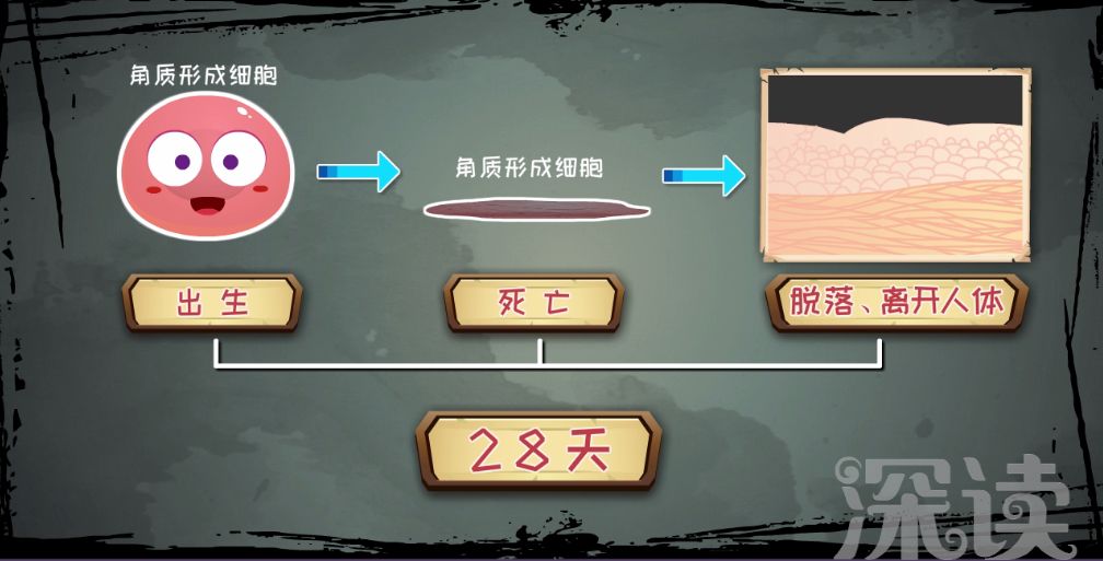 银屑病为什么会有鳞屑脱落,皮屑好治吗