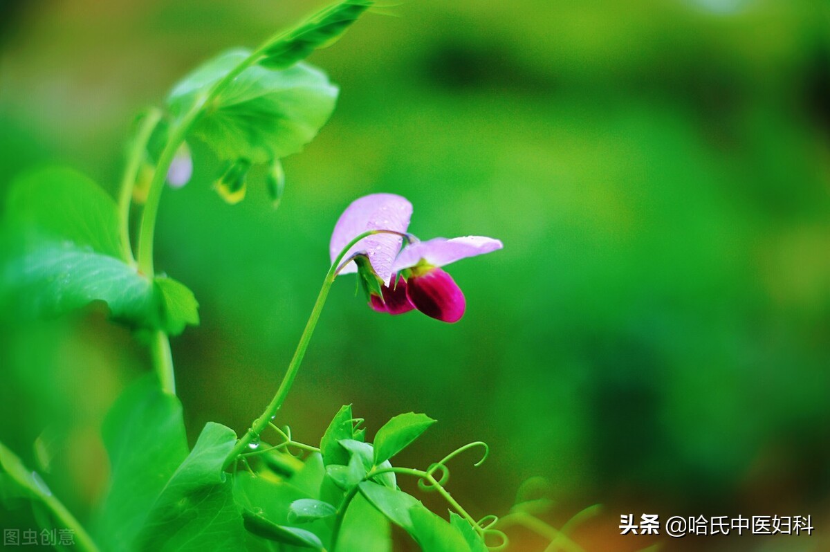 35的女性怀孕风险大吗,女人35停经意味着什么