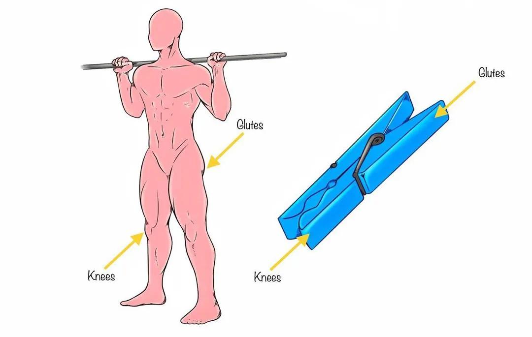 男女深蹲次数多少合适,练习深蹲一个月有什么效果