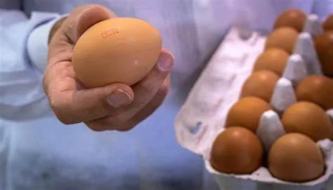 从证据的角度，让你不再害怕吃鸡蛋