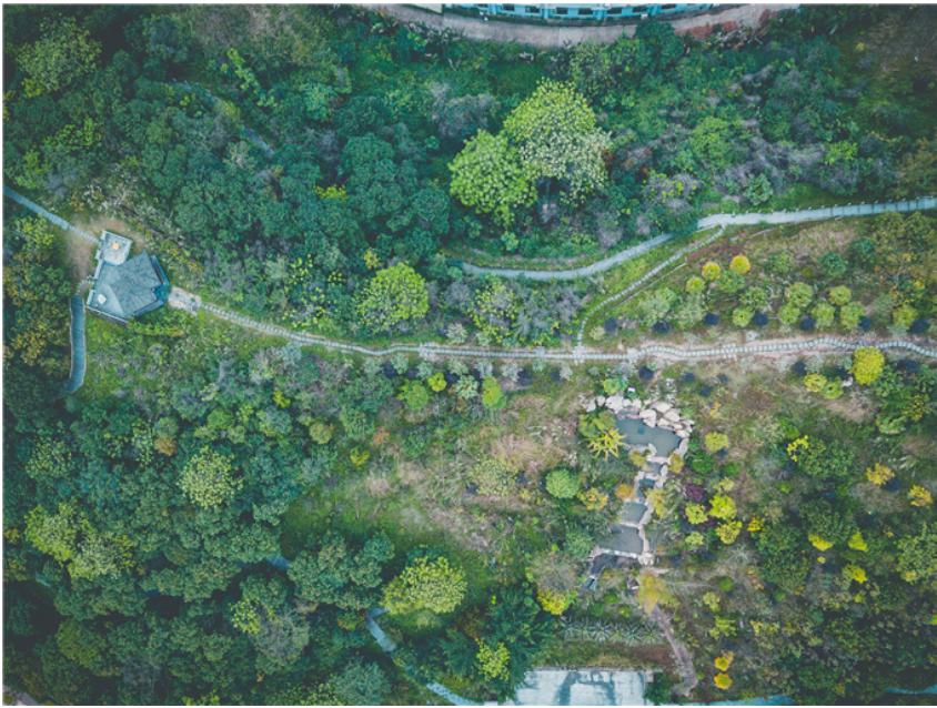 这所大学，是广西八桂警官的摇篮，毕业生就业率保持在97%左右