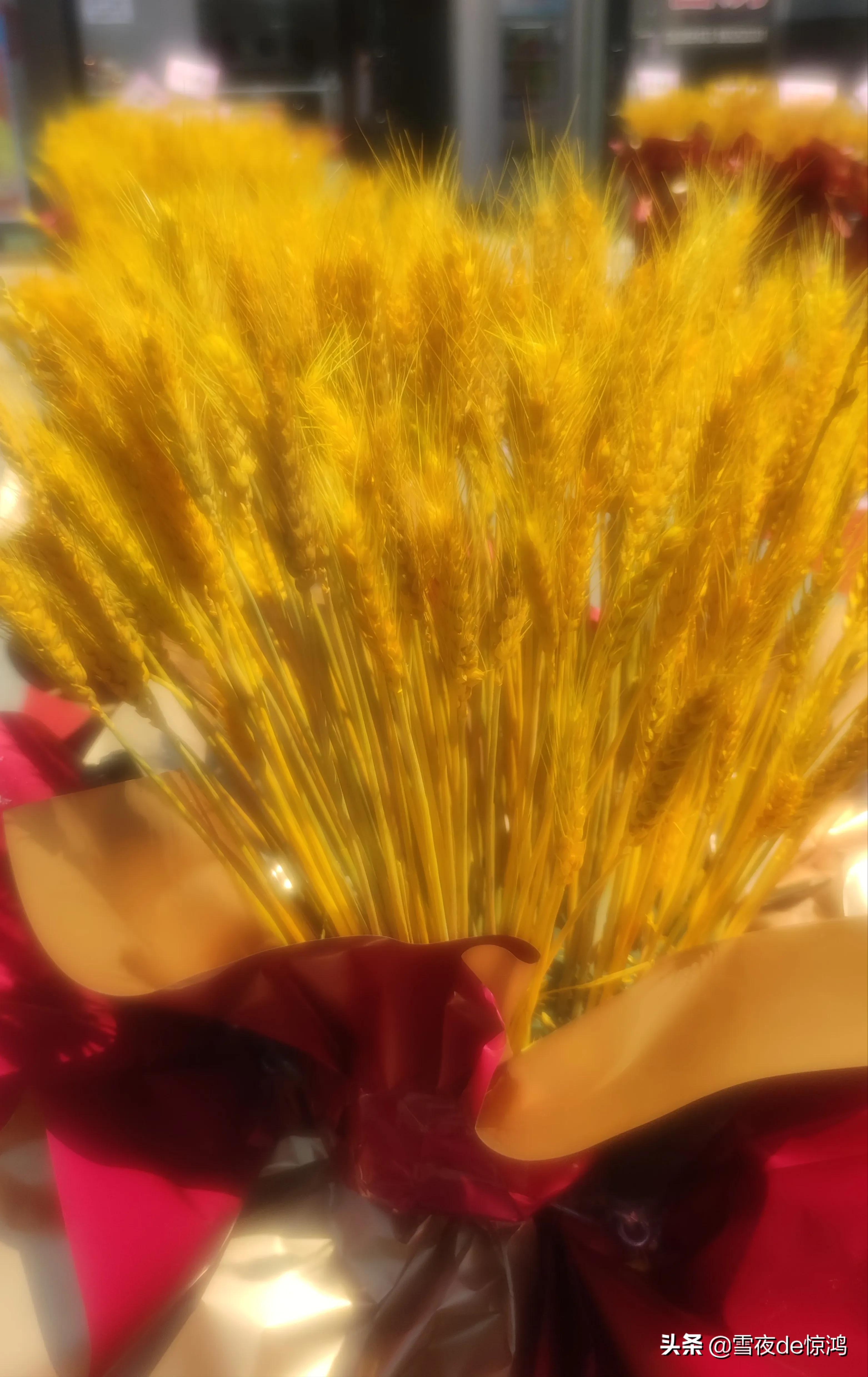 新店开业送麦穗好还是花篮好,店开张用麦穗花篮什么意思