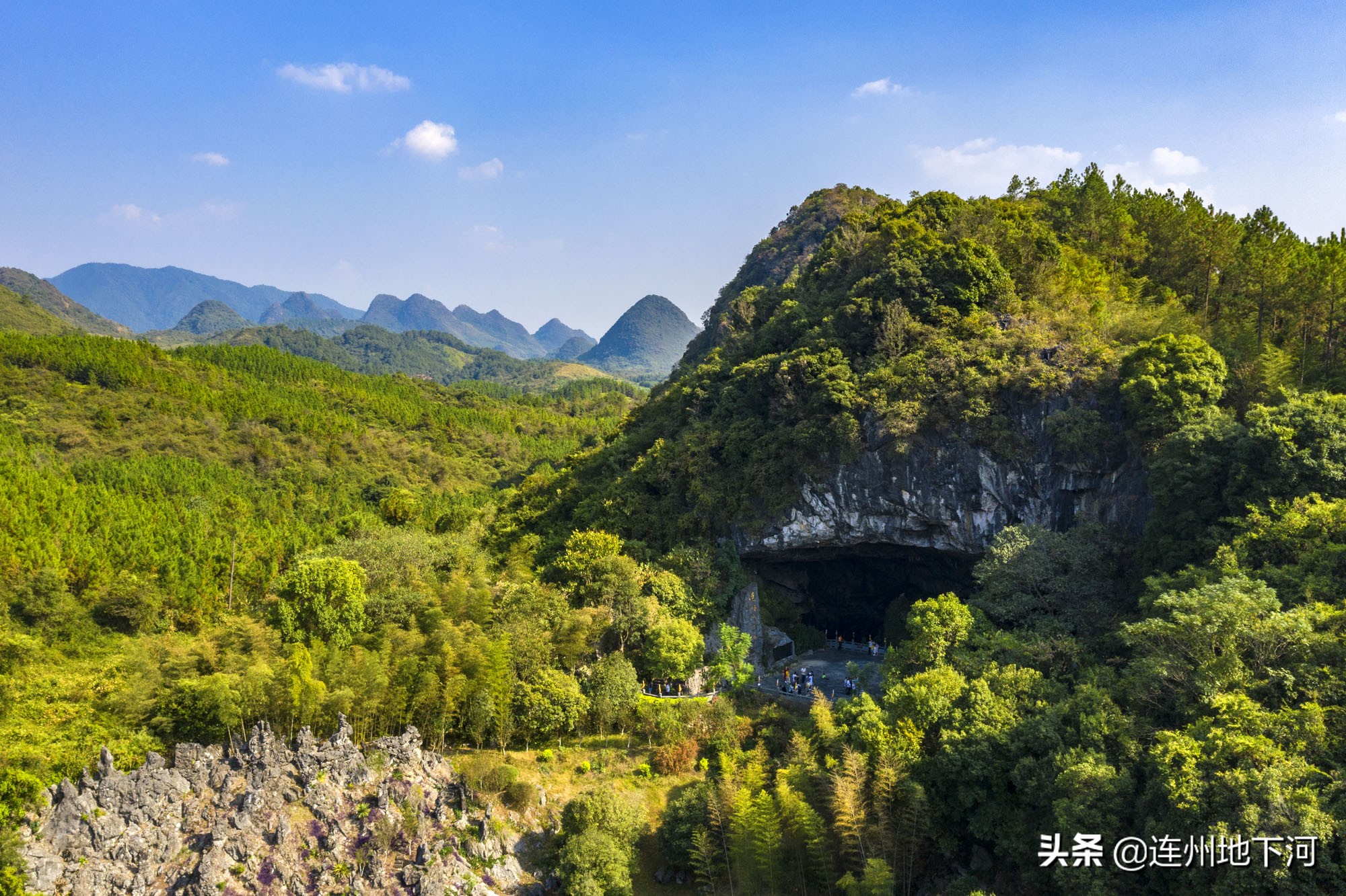 以自然之名为地球发声完整版,以生命之名为地球发声