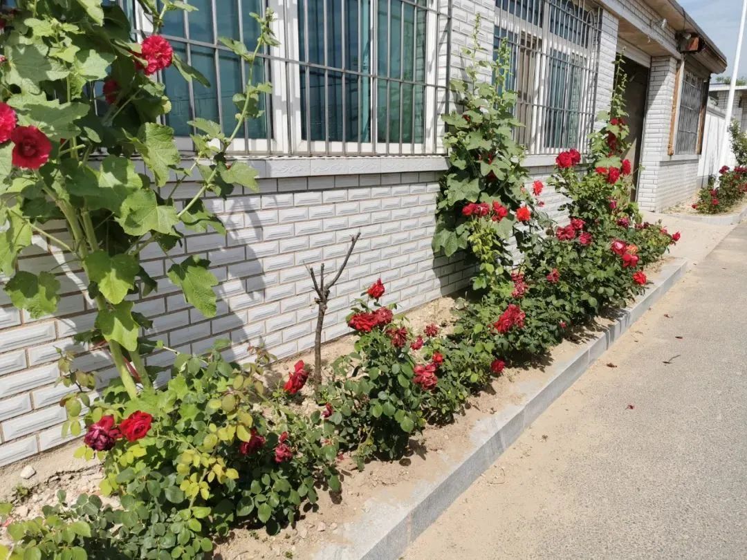 营口市鲅鱼圈旅游攻略,营口渔村旅游攻略