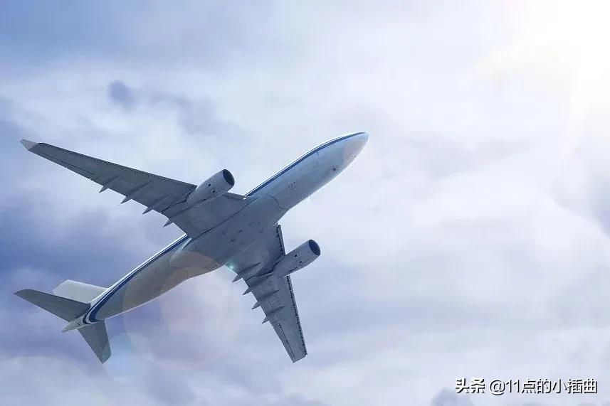 大熊猫生宝宝为什么要回中国,生下双胞胎的熊猫