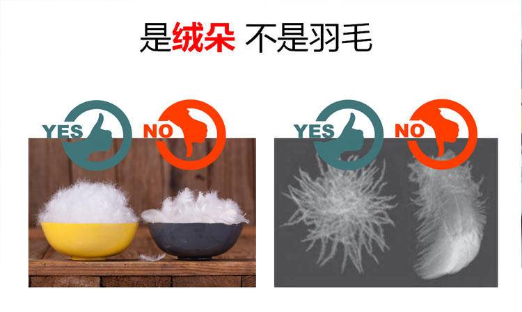 极寒鹅绒羽绒服零下30度测试,北极抗寒最强羽绒服