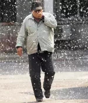 被柳絮困扰,被柳絮搞到崩溃是什么体验