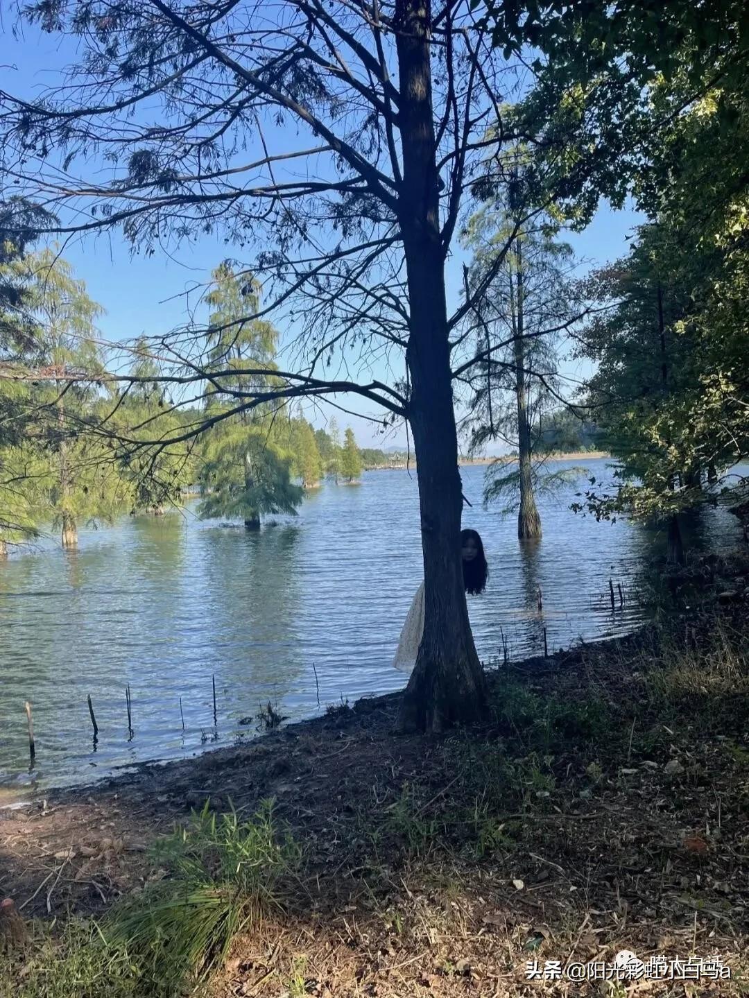 千万不要乱改群名,如何避免随便改群名