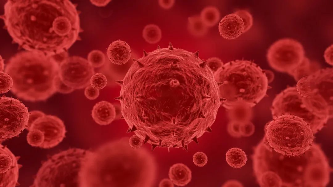 新手如何做ppt2019,经验分享思路ppt