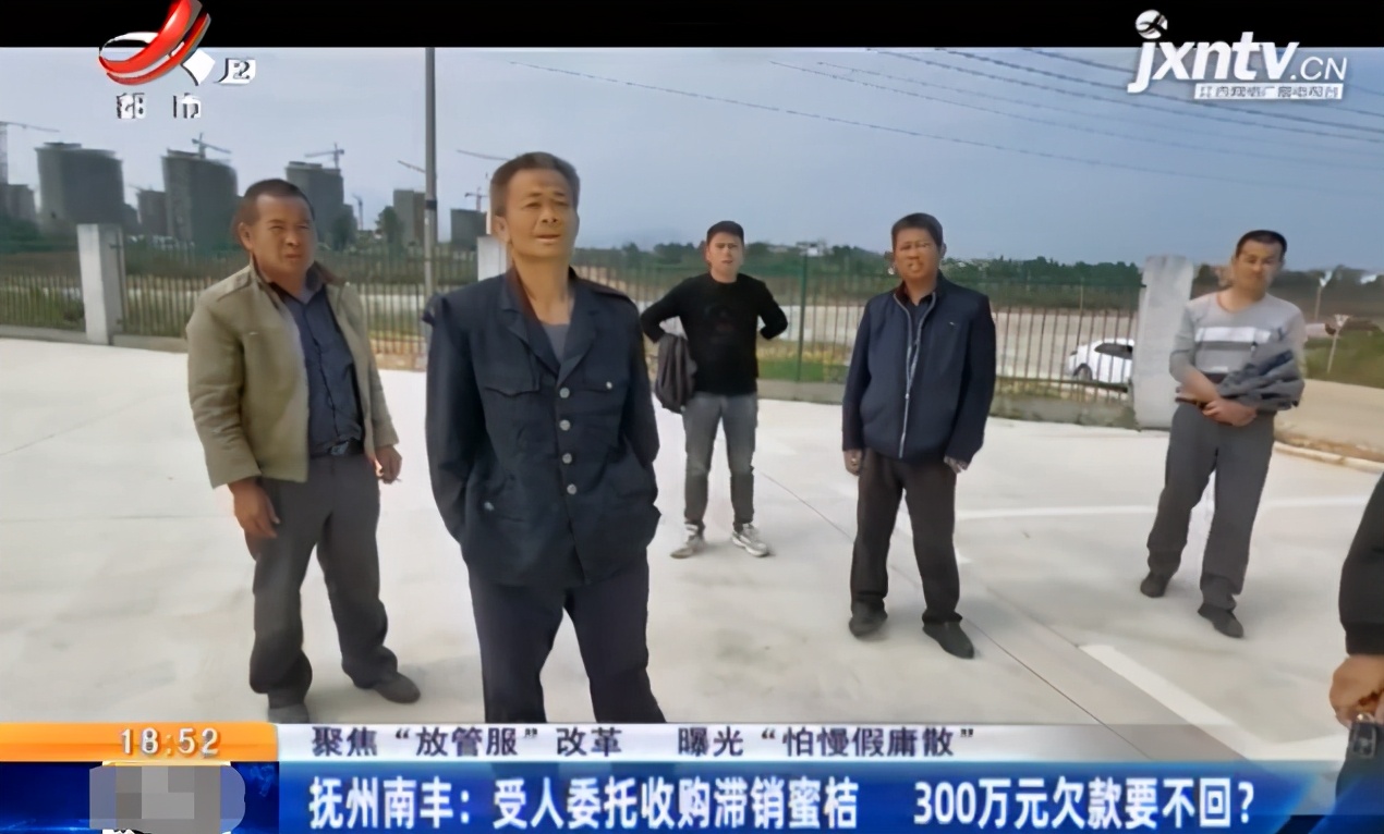 南丰县蜜桔收购,南丰蜜桔大量收购