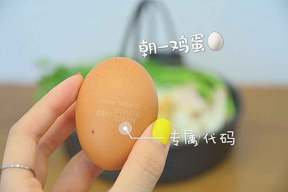 青岛有柴犬的日料店,青岛柴犬日料