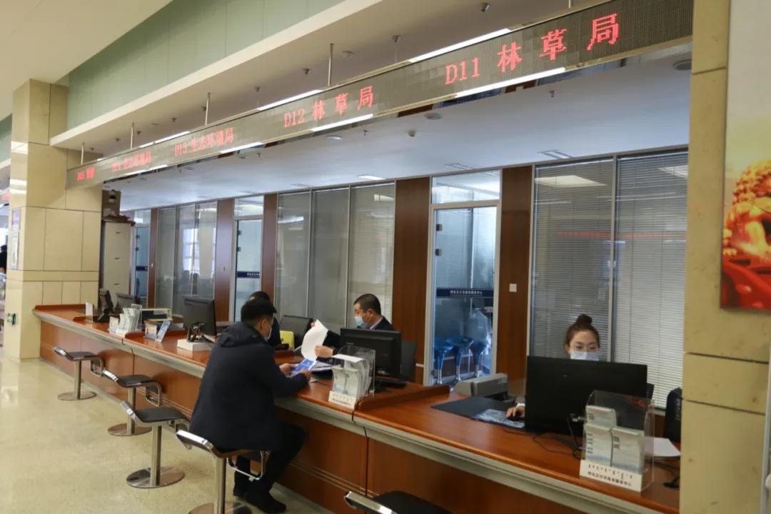 办理林草相关手续,林草证办理