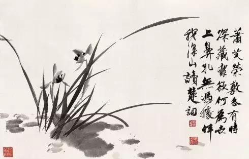 国画兰花绘画图,简单国画兰花画法教程