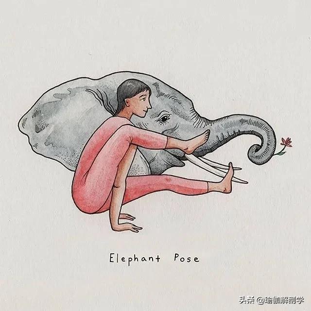100张户外瑜伽唯美图片,各种动物瑜伽姿势图片