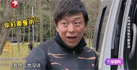 牛头梗怎么养才强壮,成年的牛头梗适合新手养吗