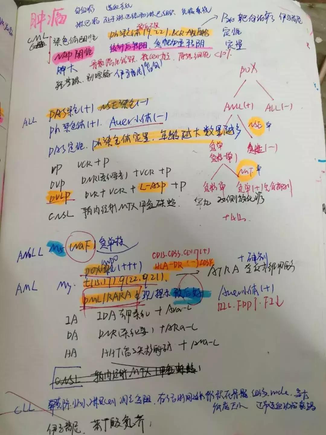 英语一89，西医临床227。二本上岸协和阜外心血管内科学硕