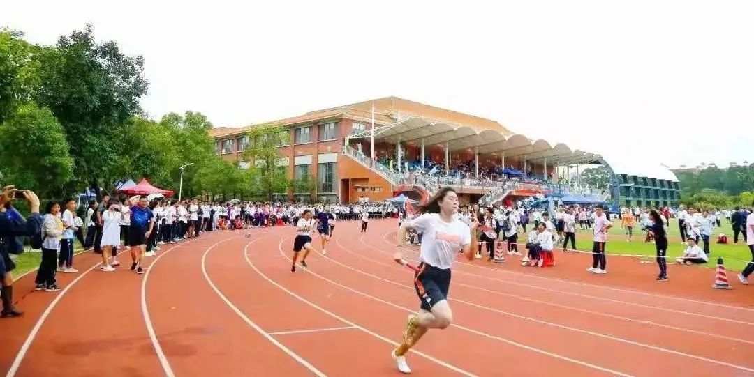 奥运体育风采视频,奥运开幕式向世界展现