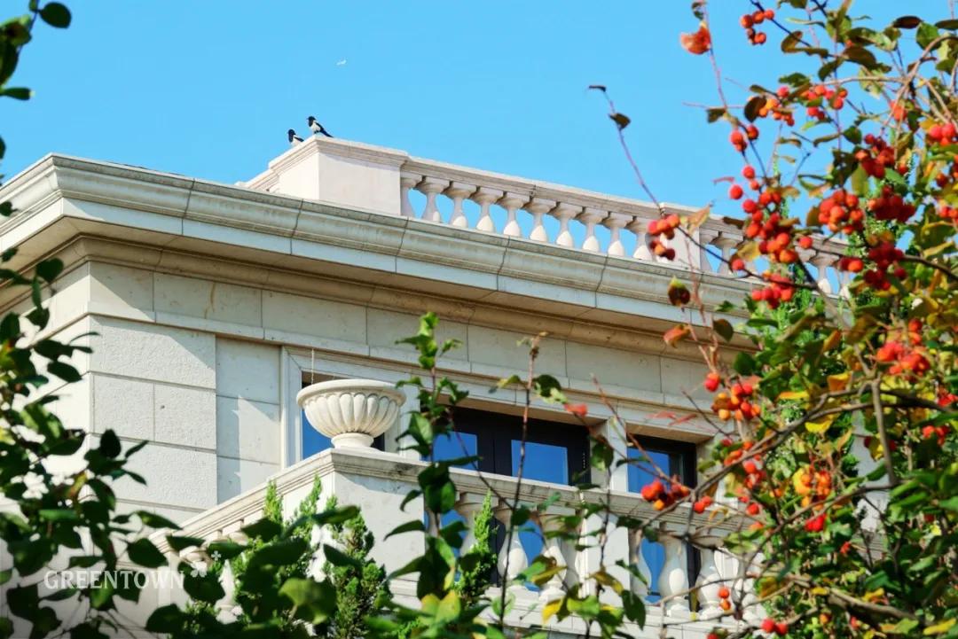 绿城印象南宁市江南区,绿城印象楼中楼