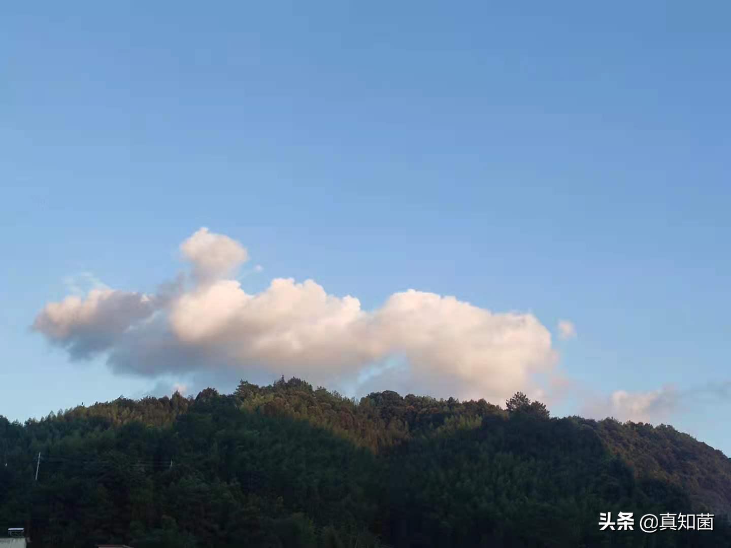 古竹小学是公办还是民办学校,曾经的乡村小学怎么样了