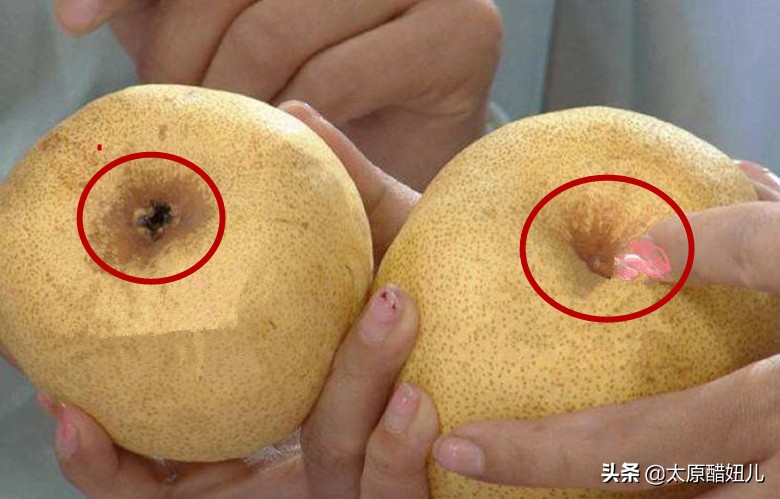 梨选择什么样的好吃,买梨什么样好吃