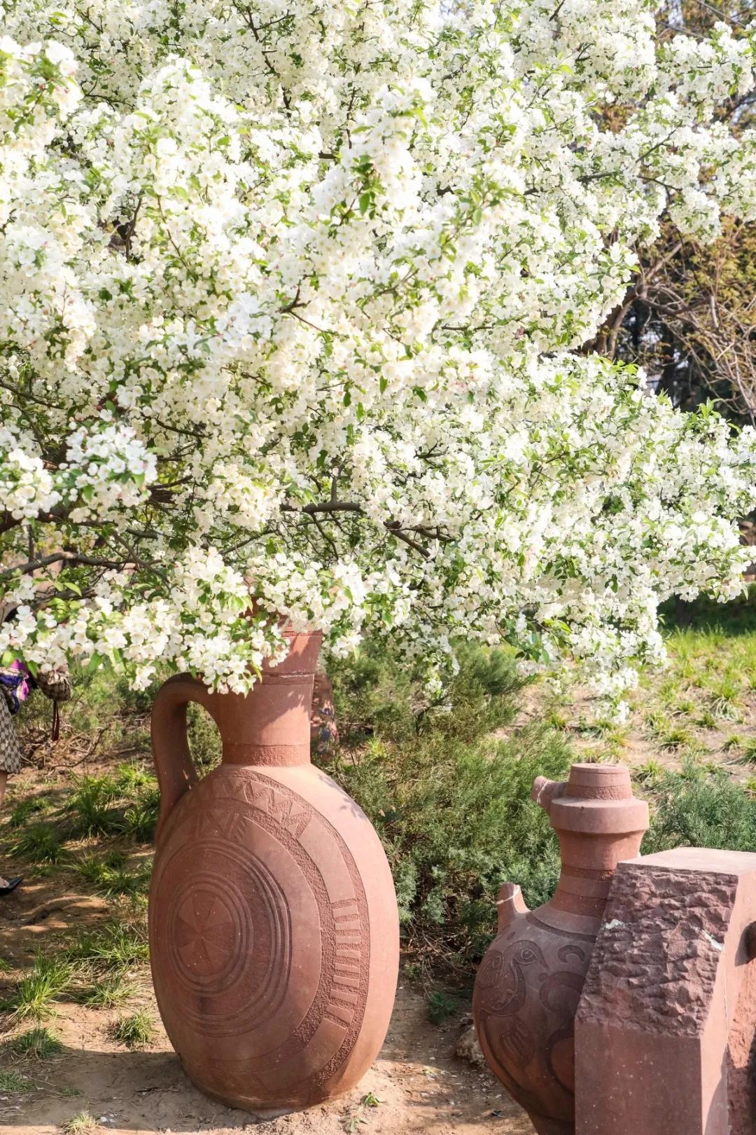 北京人少景美赏秋的公园,北京赏秋中山公园