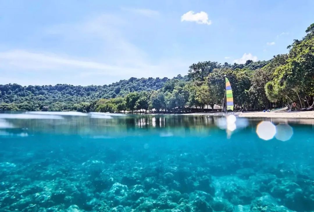 先收藏了,旅行最高境界就是满世界住安缦