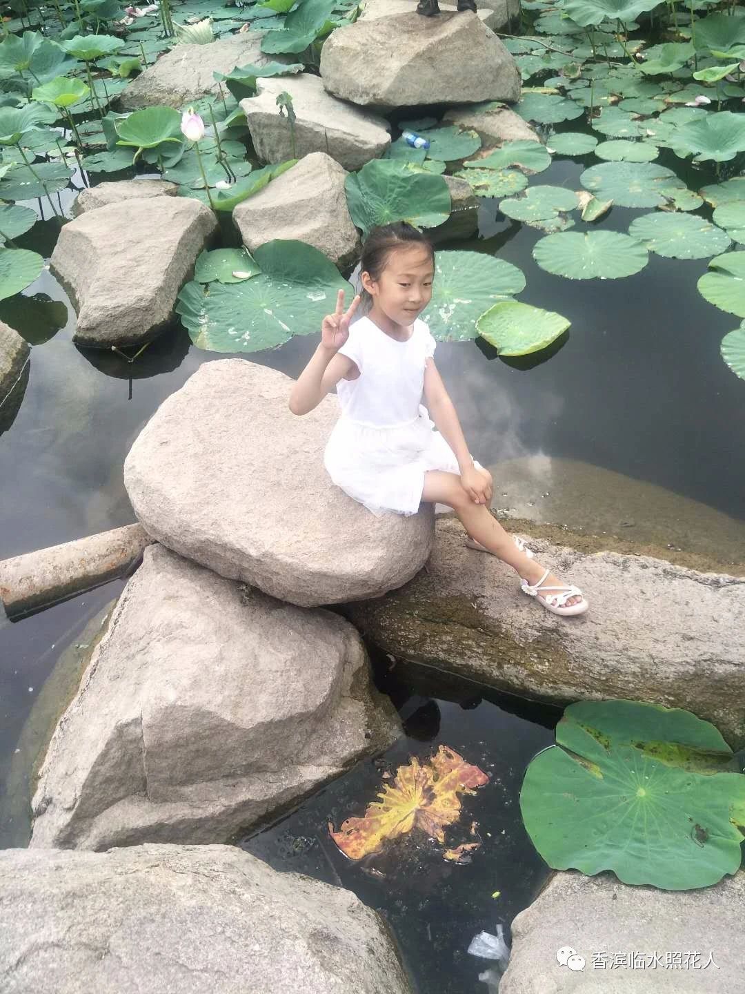 创新作文大赛第十四届获奖名单,2016创意作文大赛