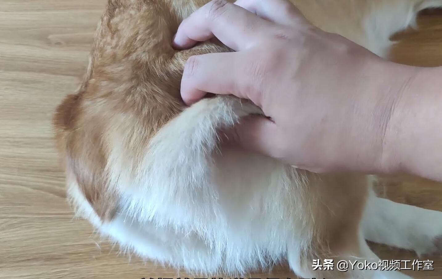 二手macbookpro怎么验货,二手苹果笔记本电脑如何验货