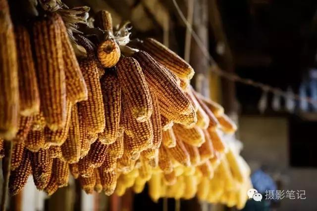 手把手教你成为摄影师,一步步教你做视频剪辑师