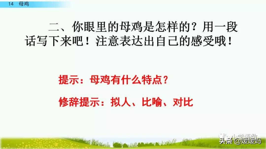 四年级下册第13课小练笔仿写母鸡,四年级下册14课母鸡的预习完整版