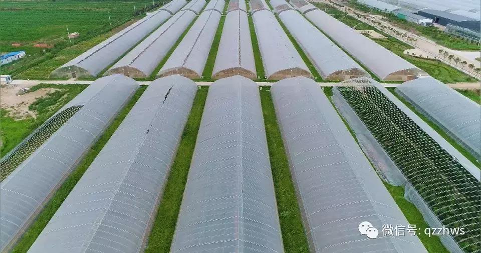 个体农户种大棚能拿补贴吗,农村养殖大棚如何申请补贴