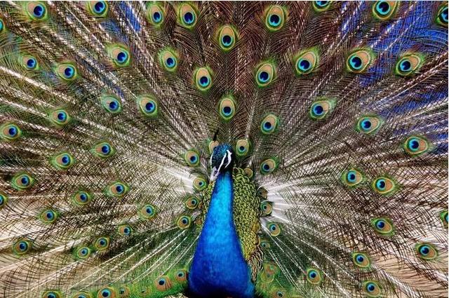 养殖户赚钱吗,养殖户一年能赚多少钱啊