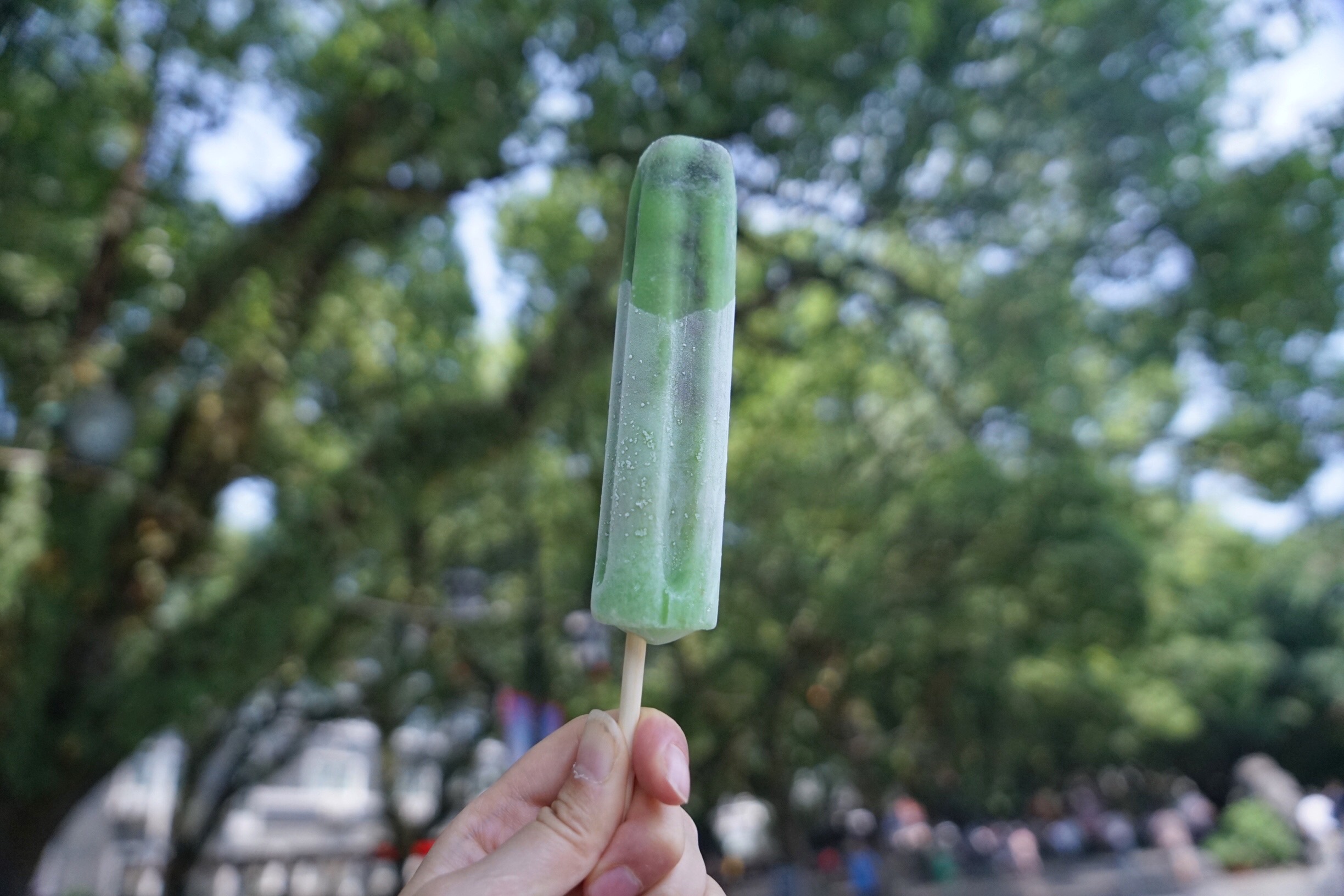 桂林三天两夜旅游龙脊梯田,桂林龙脊梯田避坑最全攻略