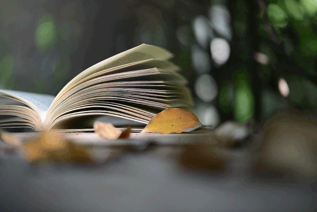 民勤文学—崔永斌：空空的卧室