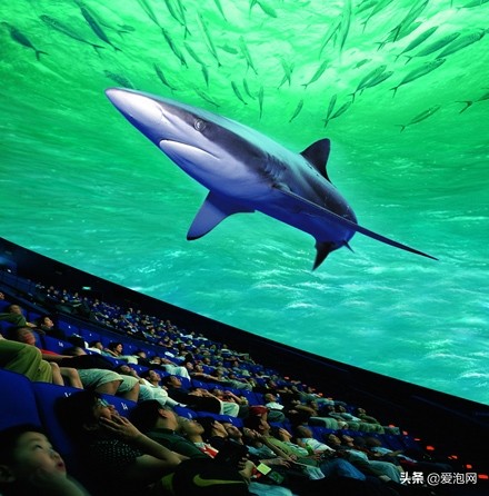 上海科技馆游玩攻略,上海科技馆亲子游玩攻略