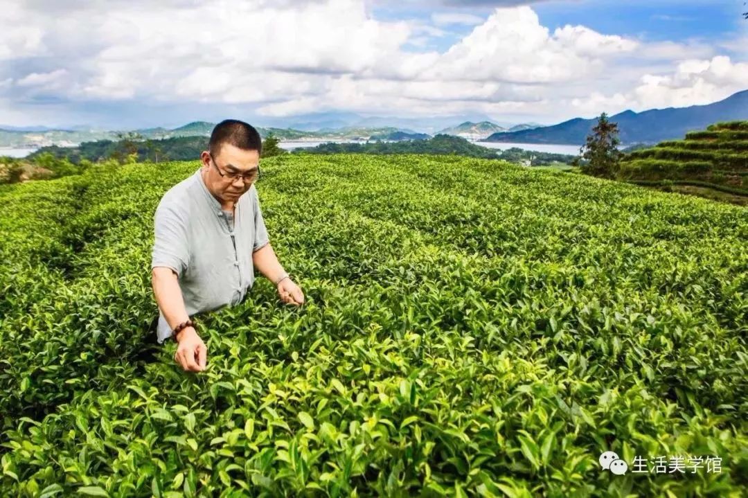 看了这40位生活美学家的创造，心顿时亮了！西安人年度最佳收藏贴