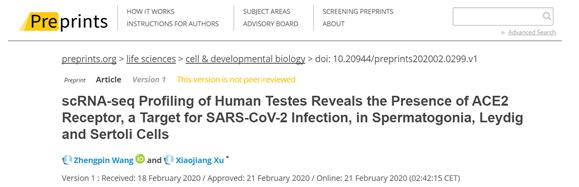 新冠病毒对生殖器官有害吗,新冠病毒疫苗对男性影响大吗