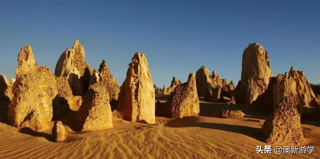 澳洲游学满载而归,澳洲亲子游学日程安排