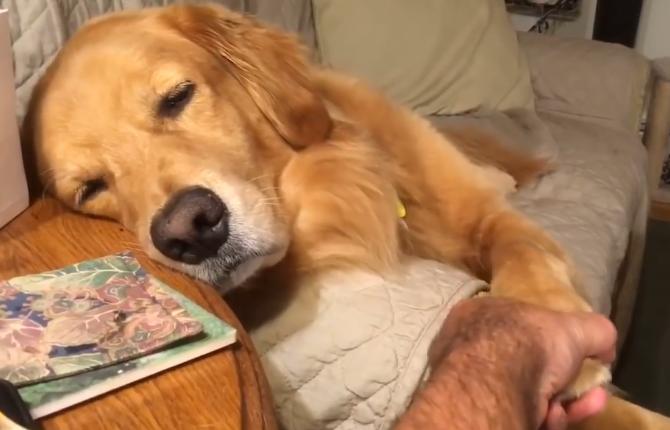 閲戞瘺骞肩姮鎸戦鏈変粈涔堣В鍐崇殑鏂规硶,閲戞瘺鎸戦鏈変粈涔堣В鍐崇殑鏂规硶