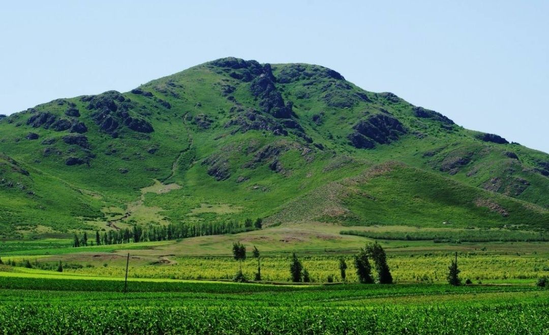 吉林洮南辣椒第一人,中国辣椒第一镇