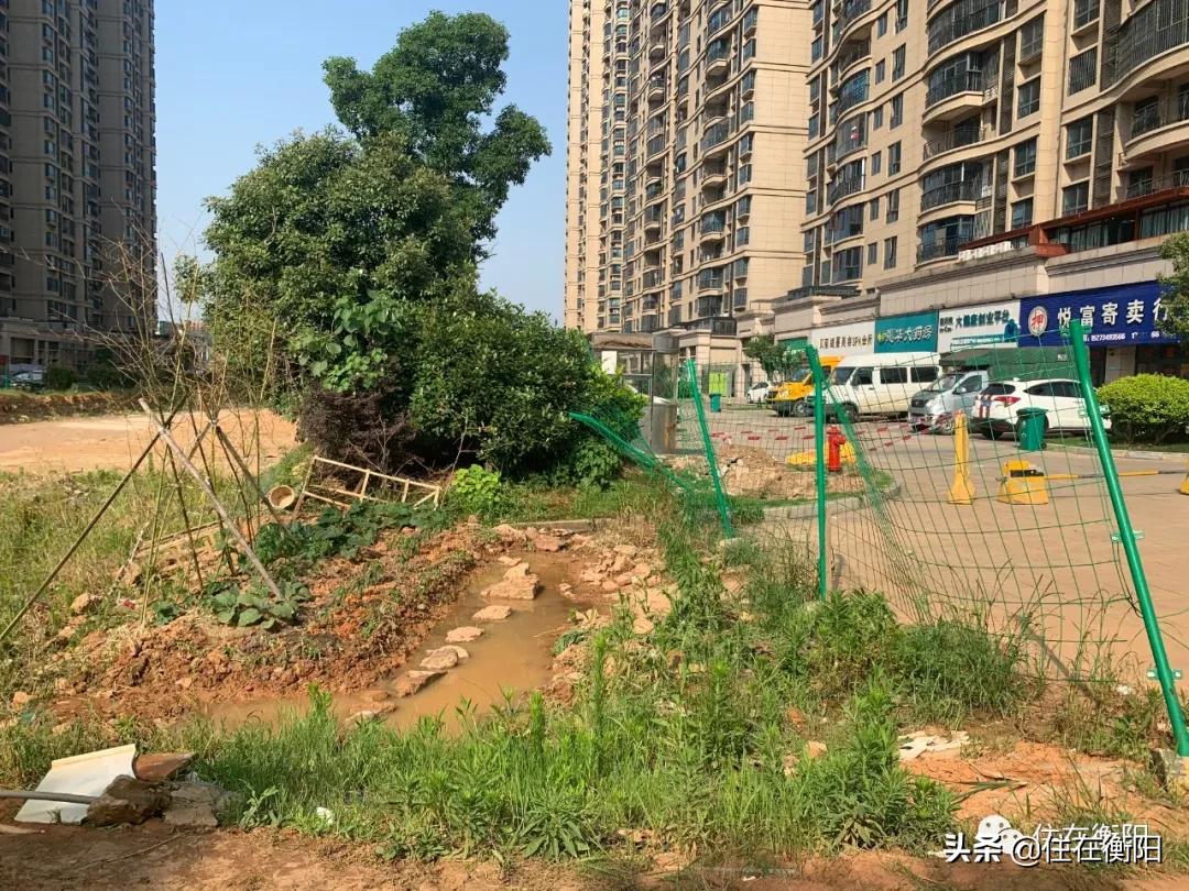 鉴盘②丨碧桂园入衡首盘,五星级的家兑现了吗?